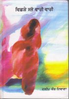 Vichhre Sabho Varri Varri Book