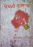Zakhmi Gulab Book