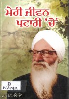 Meri Jivan Patari Chon Book